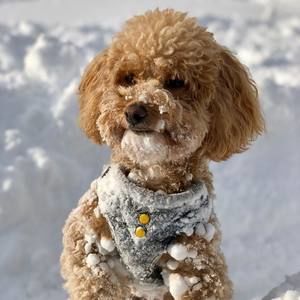 Meet your Posher, Frances